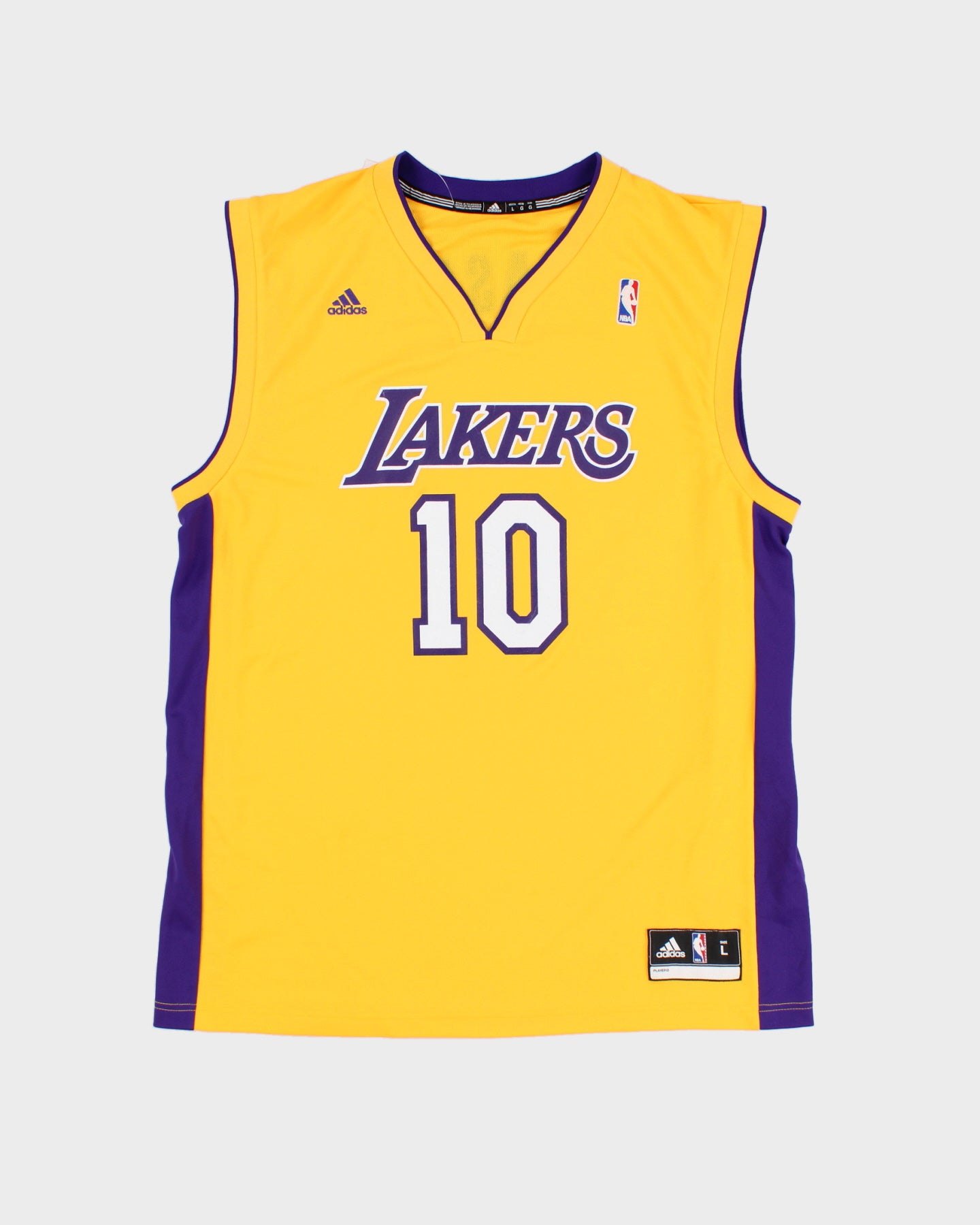 NBA x Los Angeles Lakers Steve Nash #10 Basketball Jersey L