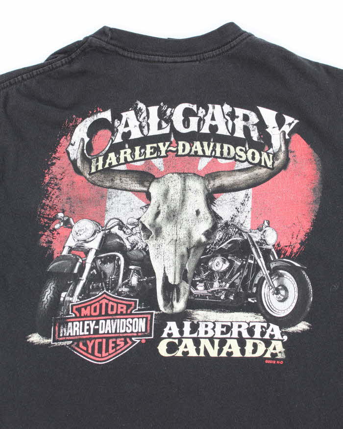 Harley Davidson Black Cotton T-Shirt - M