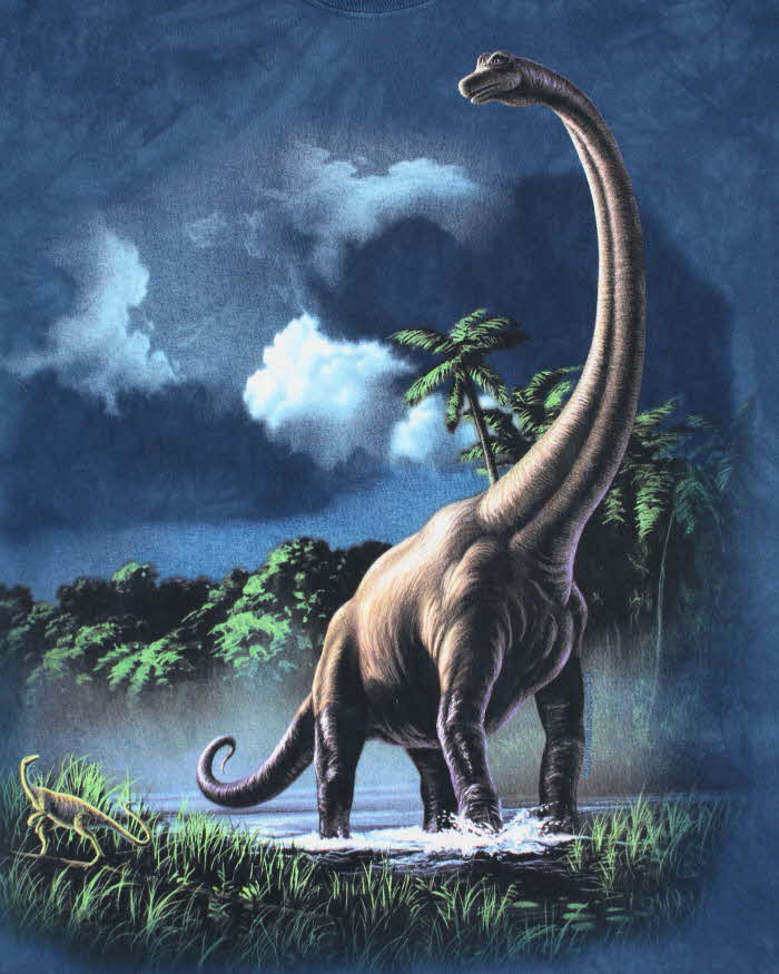 Vintage 2000's The Mountain Dinosaur Landscape Tie Dye T-Shirt - L