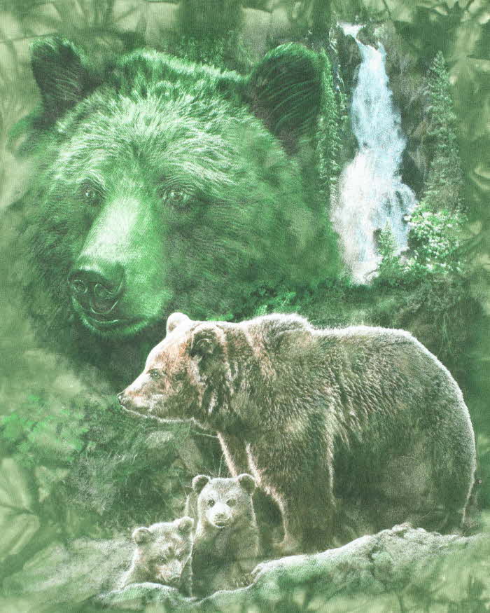 Vintage 2000's Sleuth of Bears Tie-Dye Graphic T-Shirt - XL