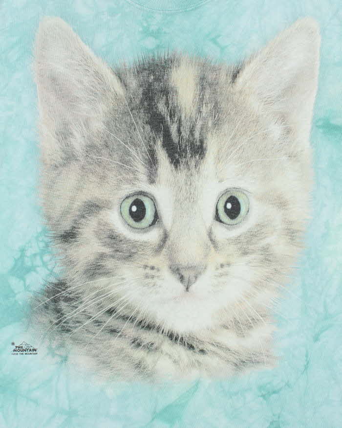 Vintage 2000's The Mountain Big Cat Face Graphic T-Shirt - L