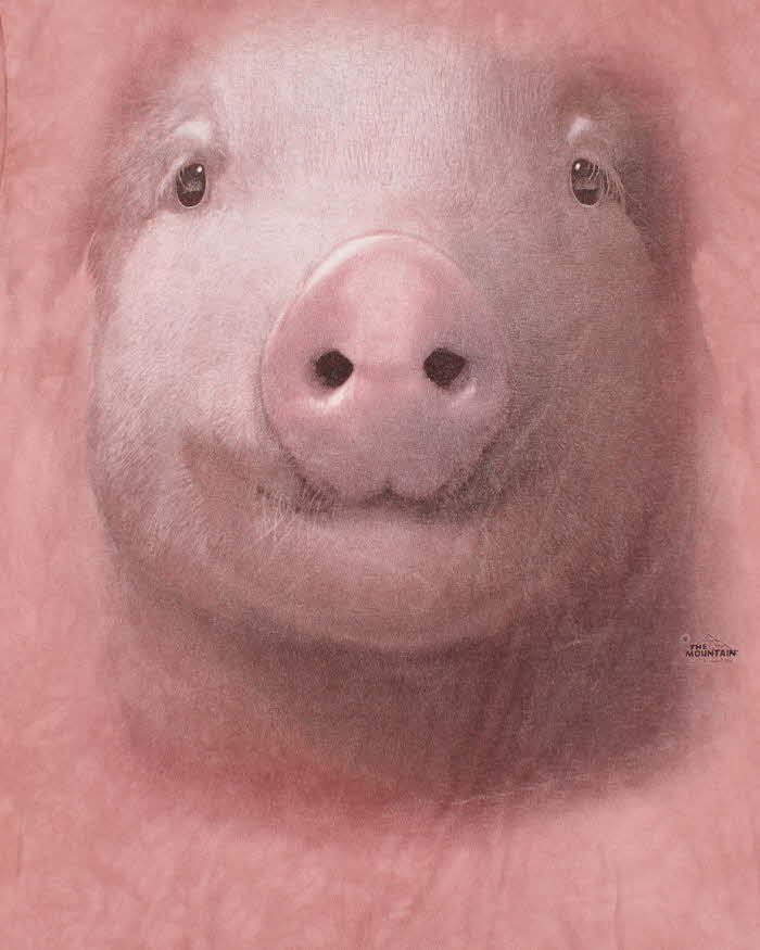 Vintage The Mountain Babe the Pig Graphic T-Shirt - L