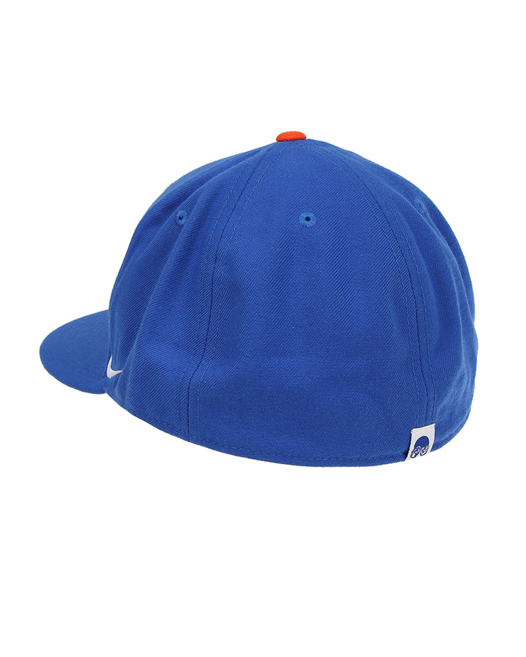 Vintage Nike Spike Lee embroidered fitted cap