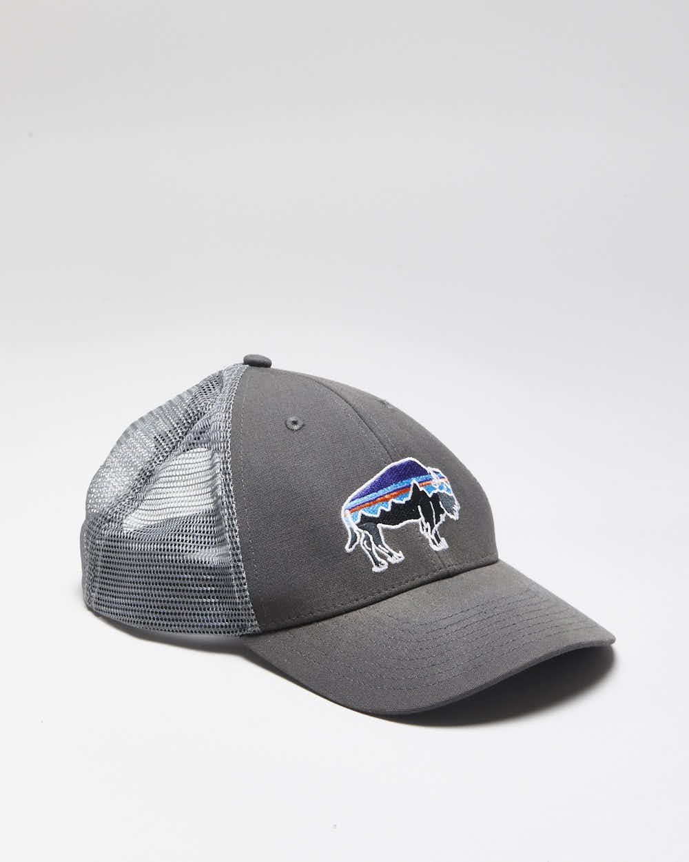 Vintage 00s Patagonia Trucker Hat - O/S