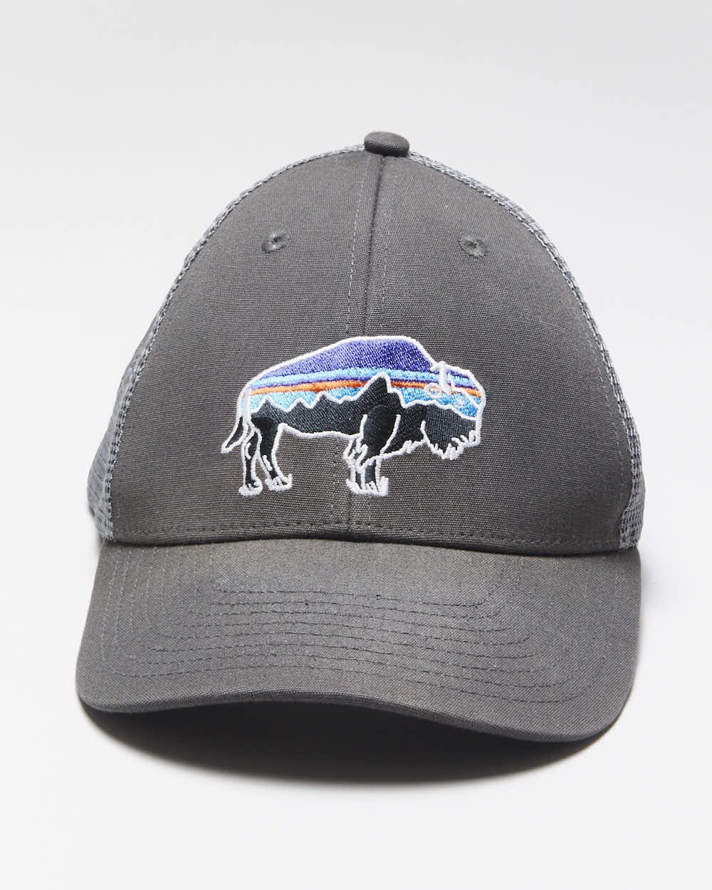 Vintage 00s Patagonia Trucker Hat - O/S