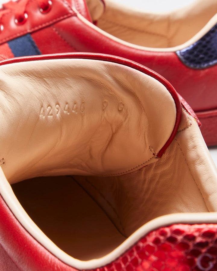 Gucci Ace Red Leather Embroidered Bee Python Heel Low Trainers - UK9