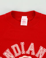 Vintage 1970s Indiana University Puff Print Wolf &amp; Sons Union Made In USA Crewneck Sweatshirt - M