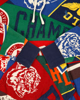 Polo Ralph Lauren Pennant Signature Pony Varsity Pullover Hoodie - S