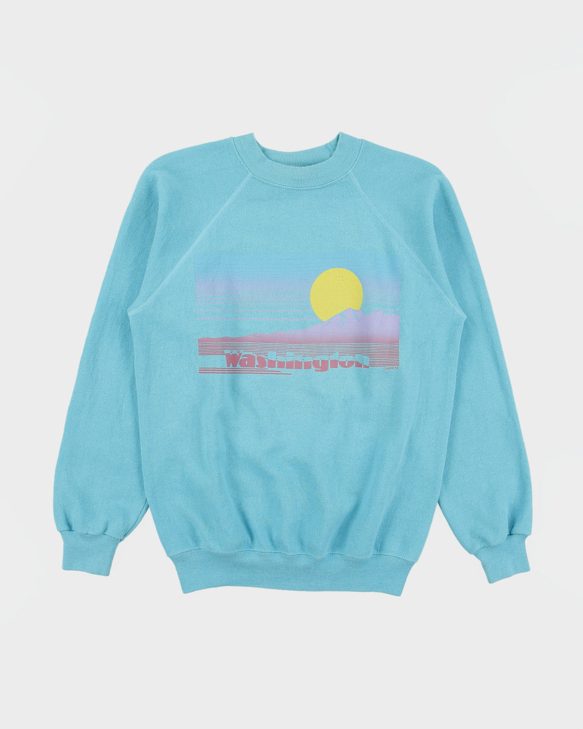 Vintage 1988 Washington Sunrise Aqua Hanes Made In USA Crewneck Sweatshirt - M