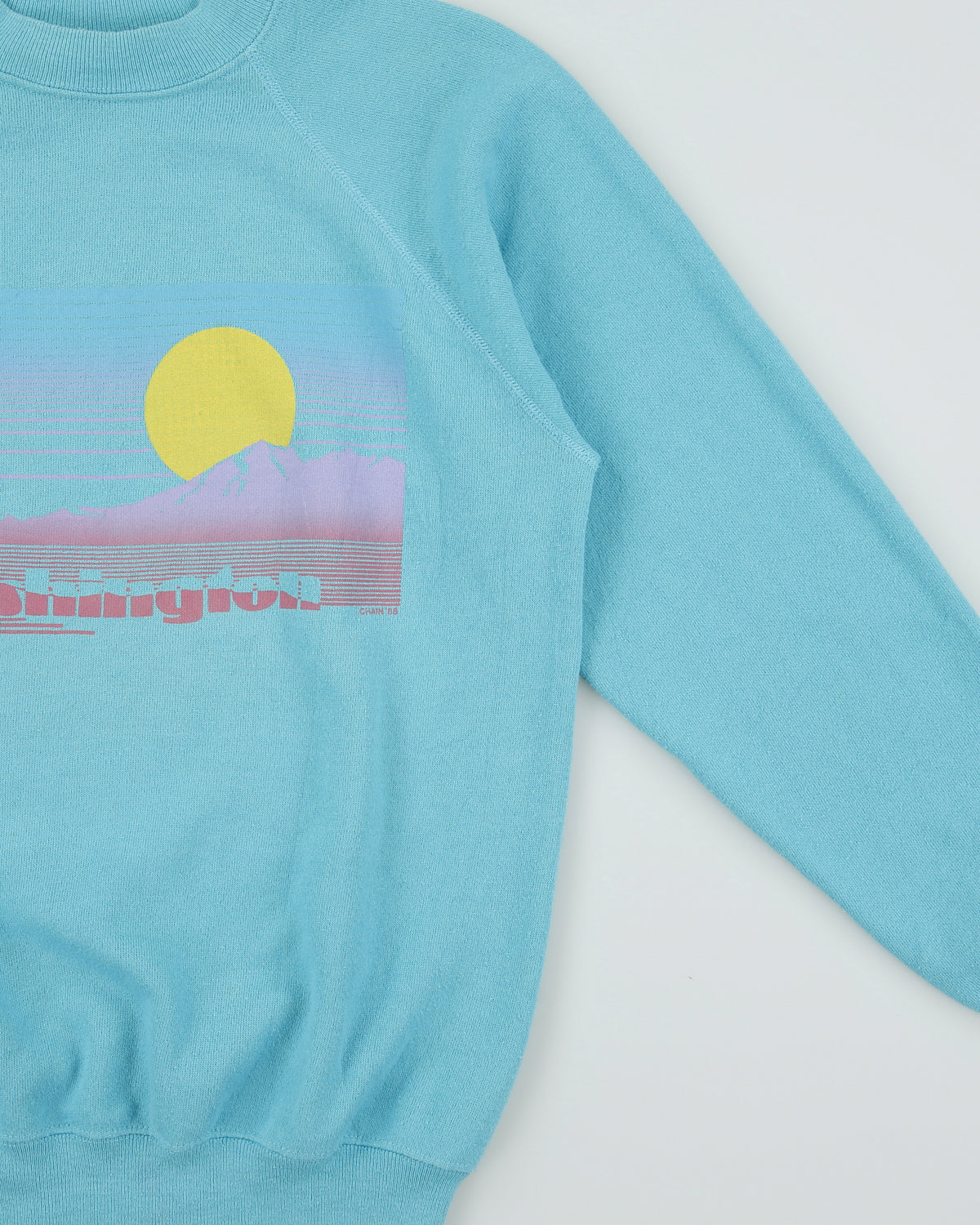 Vintage 1988 Washington Sunrise Aqua Hanes Made In USA Crewneck Sweatshirt - M
