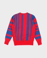 Vintage 00s Champion Reverse Weave Striped Sweatshirt - XS