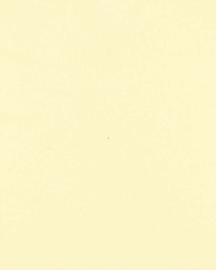 Deadstock Hodgson Wool Tank Knit - M