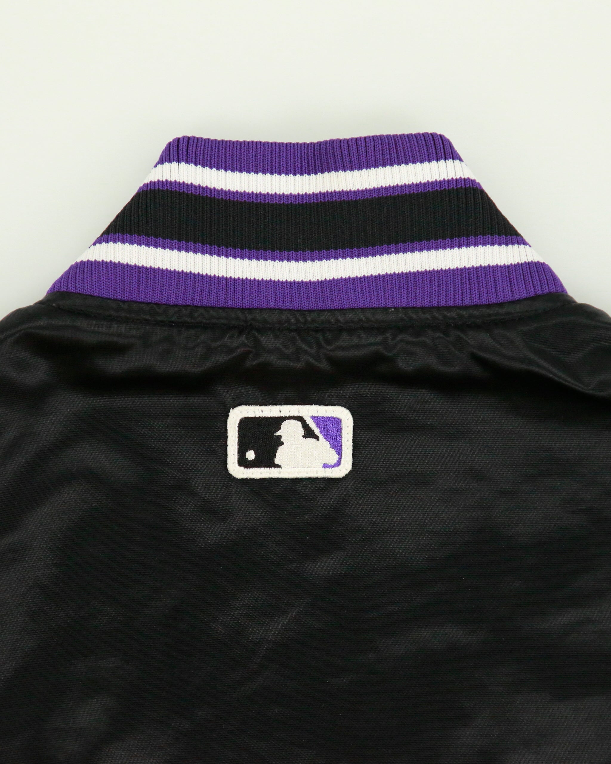 Vintage 1990s Starter Diamond Collection Tampa Bay Devil Rays MLB Satin Bomber Jacket - L