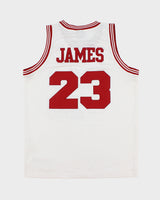 Vintage 2004-05 Nike Team Cleveland Cavaliers Lebron James #23 NBA Stitched Length +2 Home Jersey - L