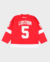 Vintage Reebok Detroit Red Wings NHL Hockey Jersey - XL