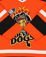 Vintage Y2K 00s Disney Pluto's Devil Dogs Ice Hockey Jersey - M