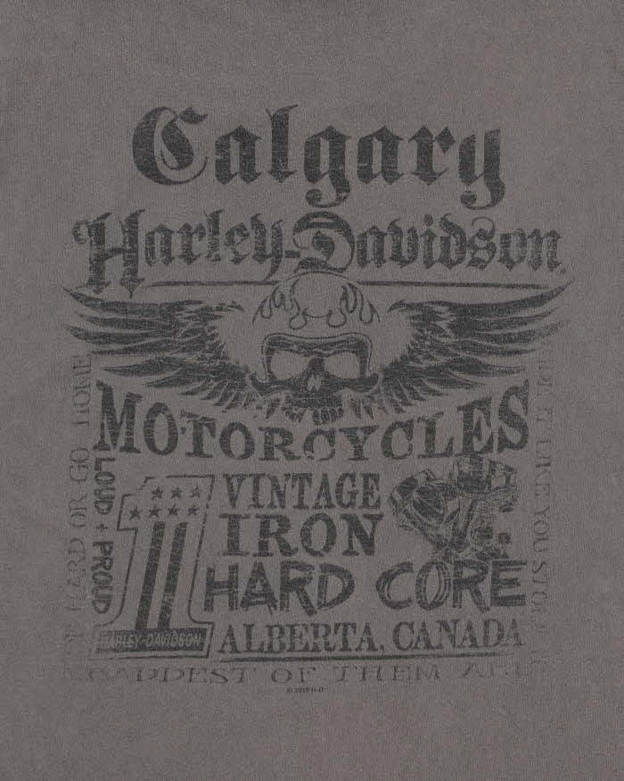 Vintage Harley Davidson Made In USA Heavyweight Crewneck T-Shirt - 3XL