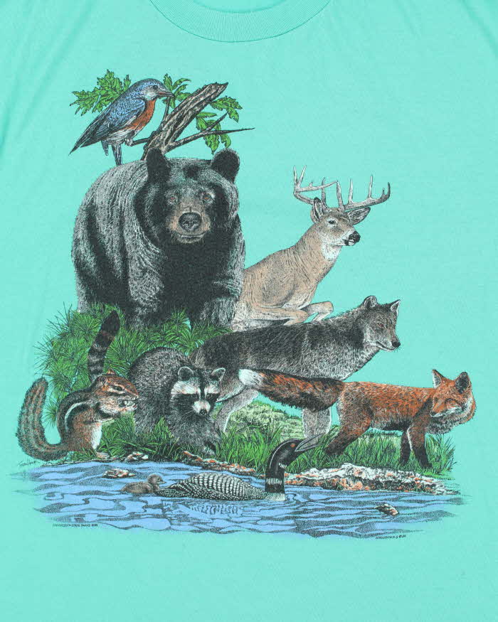 Vintage 1989 Harlequin Mint Minnesota State Parks Heavyweight Single Stitch Made In Canada Crewneck T-Shirt - XL
