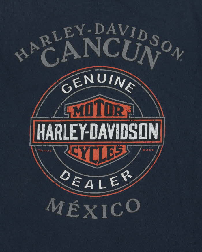 Vintage Harley Davidson Cancun Mexico Heavyweight Crewneck T-Shirt - L
