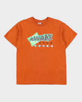 Vintage '05 Y2K Awake Terracotta Heavyweight Ultra Gildan Crewneck T-Shirt - M