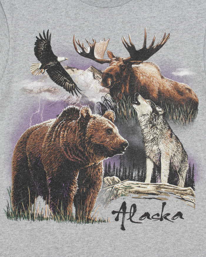 Vintage Y2K 00s Alaska Wildlife Heavyweight Delta Pro Crewneck T-Shirt - S