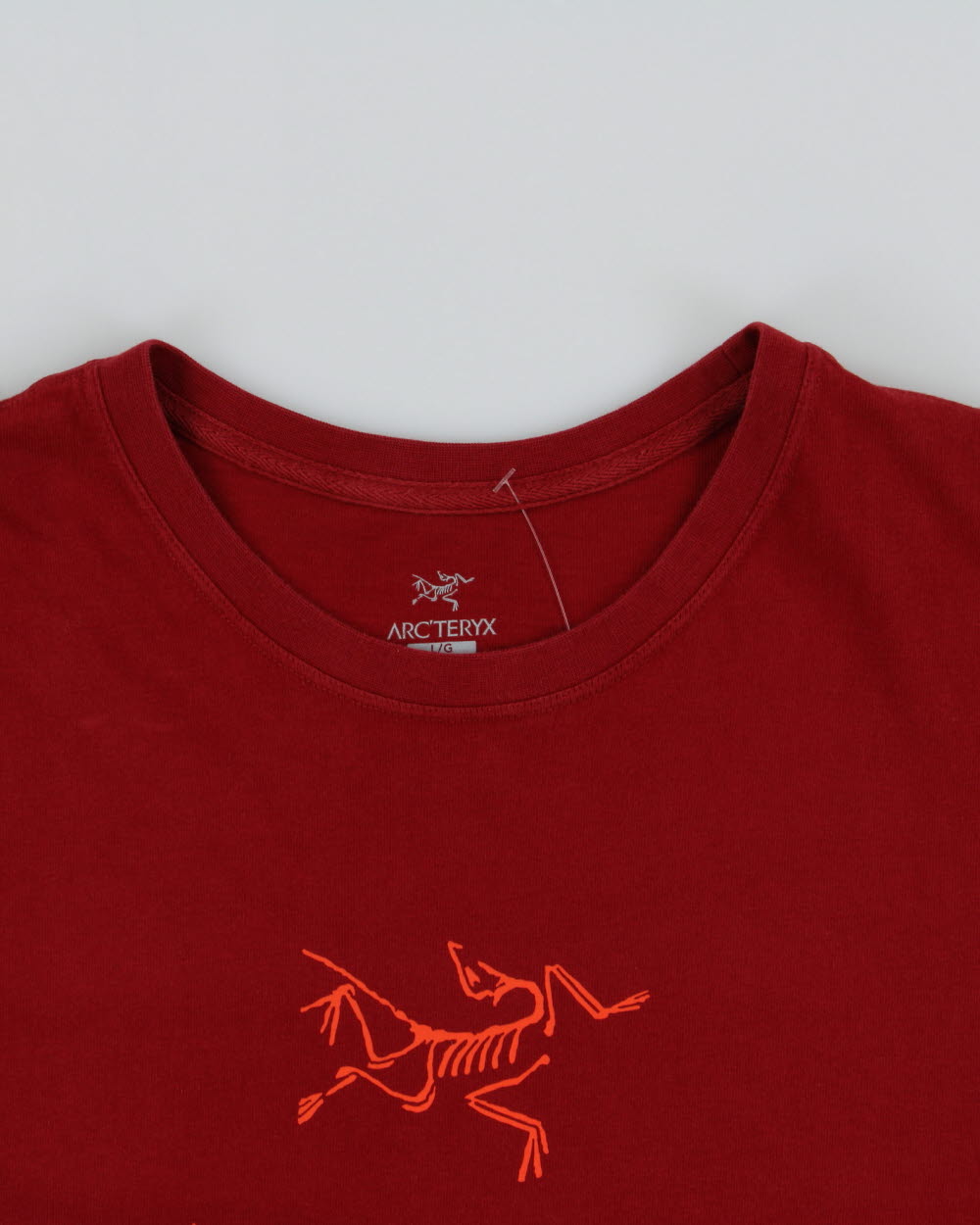 Arc'teryx Scarlet Big Bird Word Heavyweight Crewneck T-Shirt - L