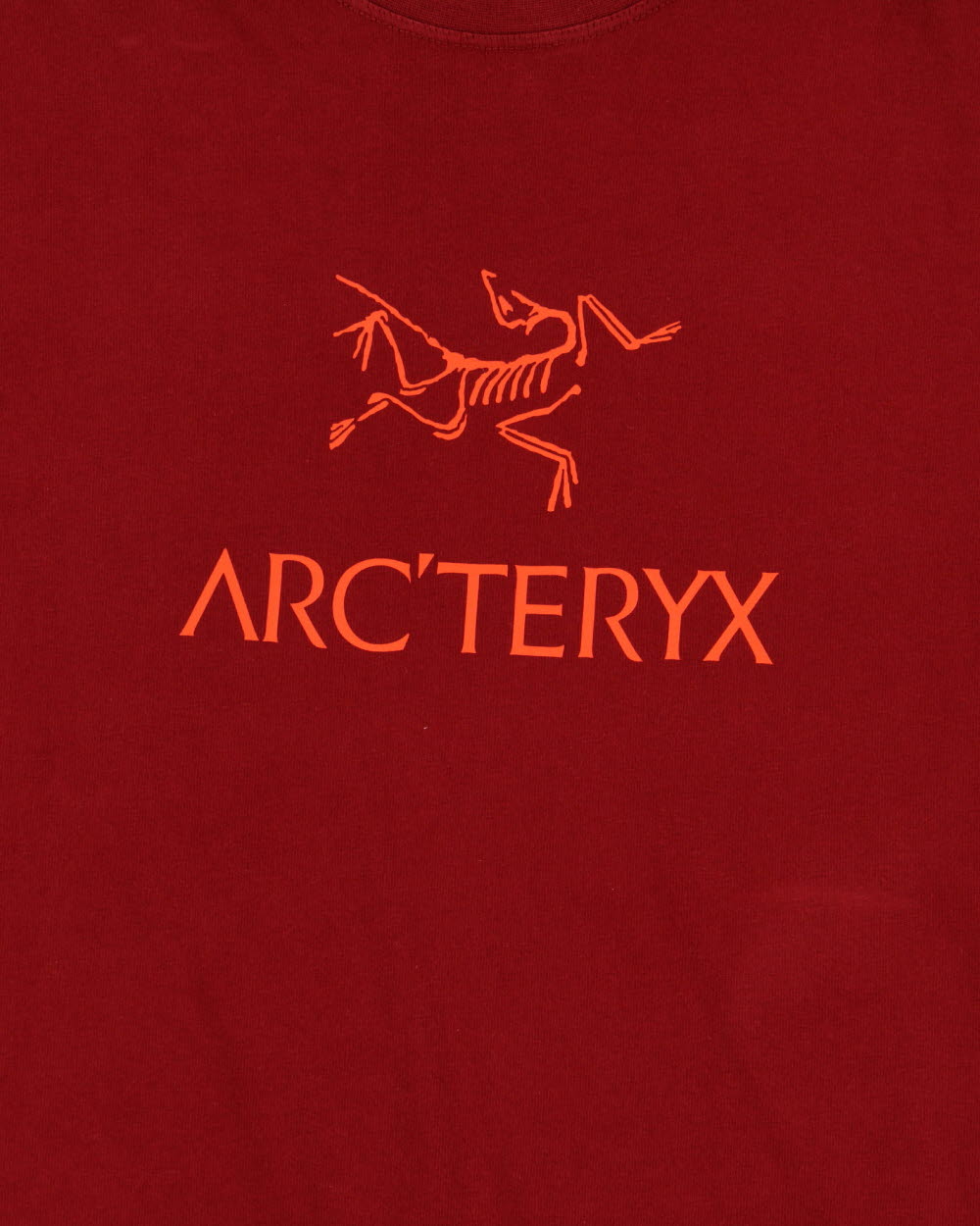 Arc'teryx Scarlet Big Bird Word Heavyweight Crewneck T-Shirt - L
