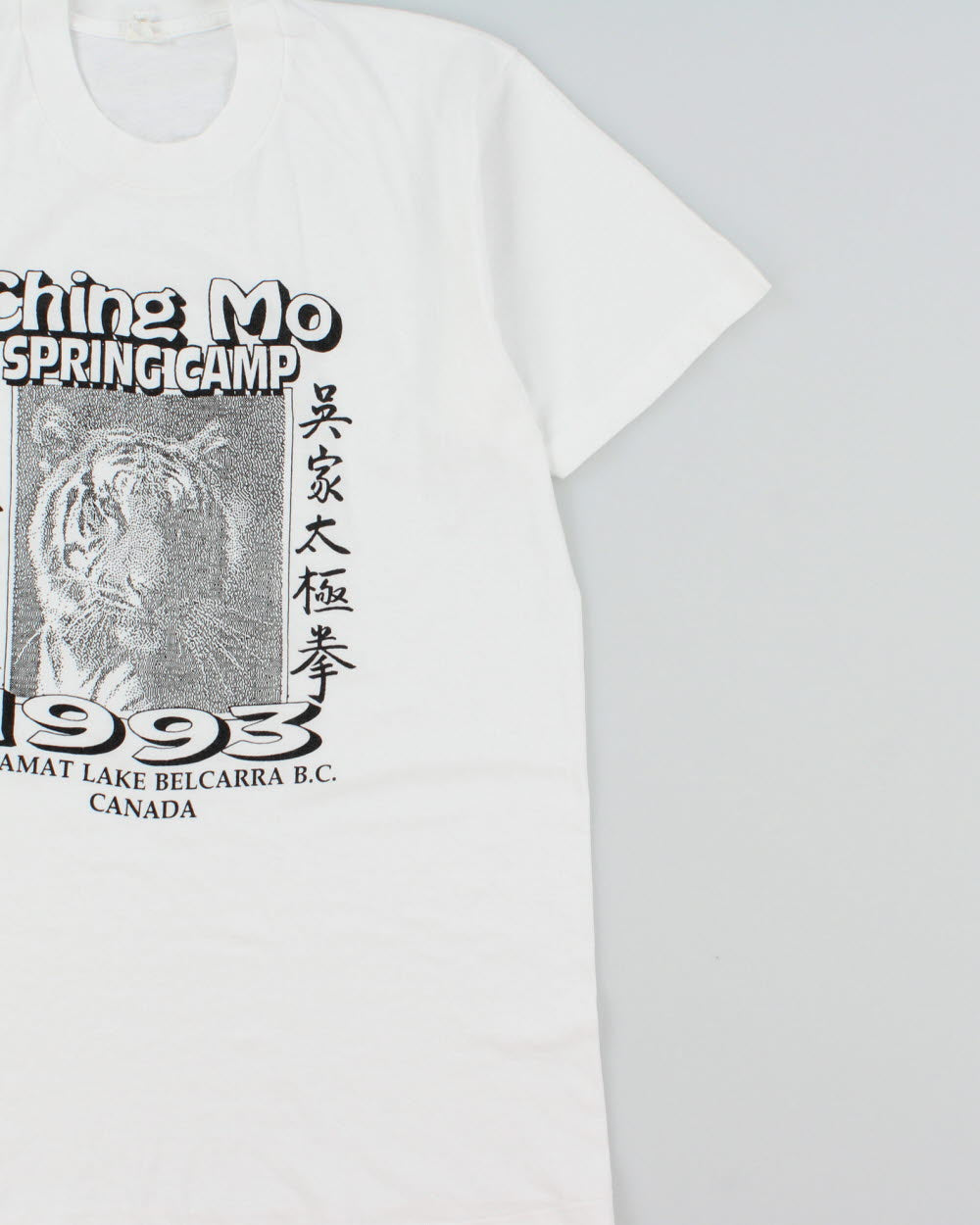 Vintage 1993 Ching Mo Summer Camp Sasamat Lake Heavyweight Made In Canada Single Stitch Crewneck T-Shirt - L
