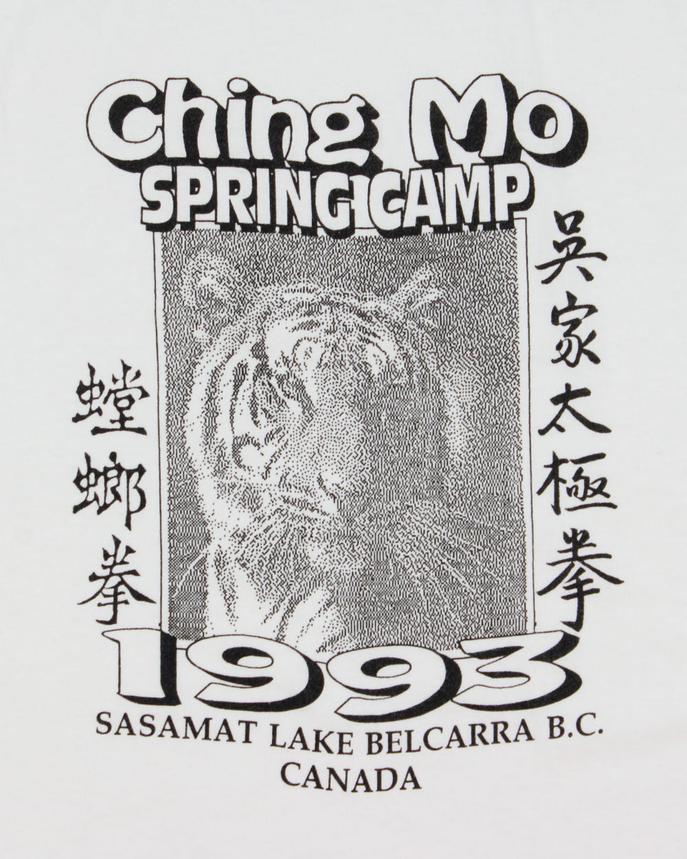 Vintage 1993 Ching Mo Summer Camp Sasamat Lake Heavyweight Made In Canada Single Stitch Crewneck T-Shirt - L