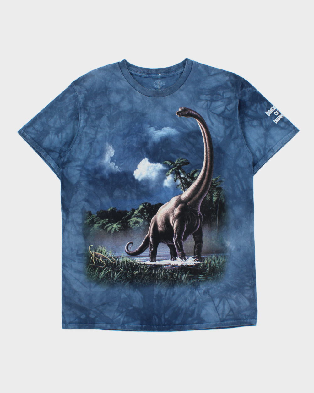 Vintage The Mountain Tie-Dye Heavyweight Dinosaur Capital Of The World Crewneck T-Shirt - M