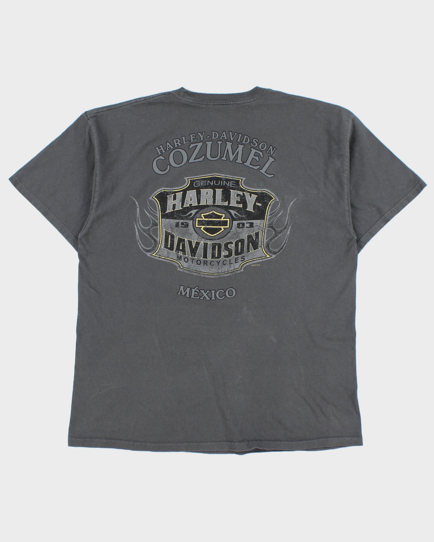 Vintage Harley Davidson Cozumel Mexico Heavyweight Ride Forever Crewneck T-Shirt - L