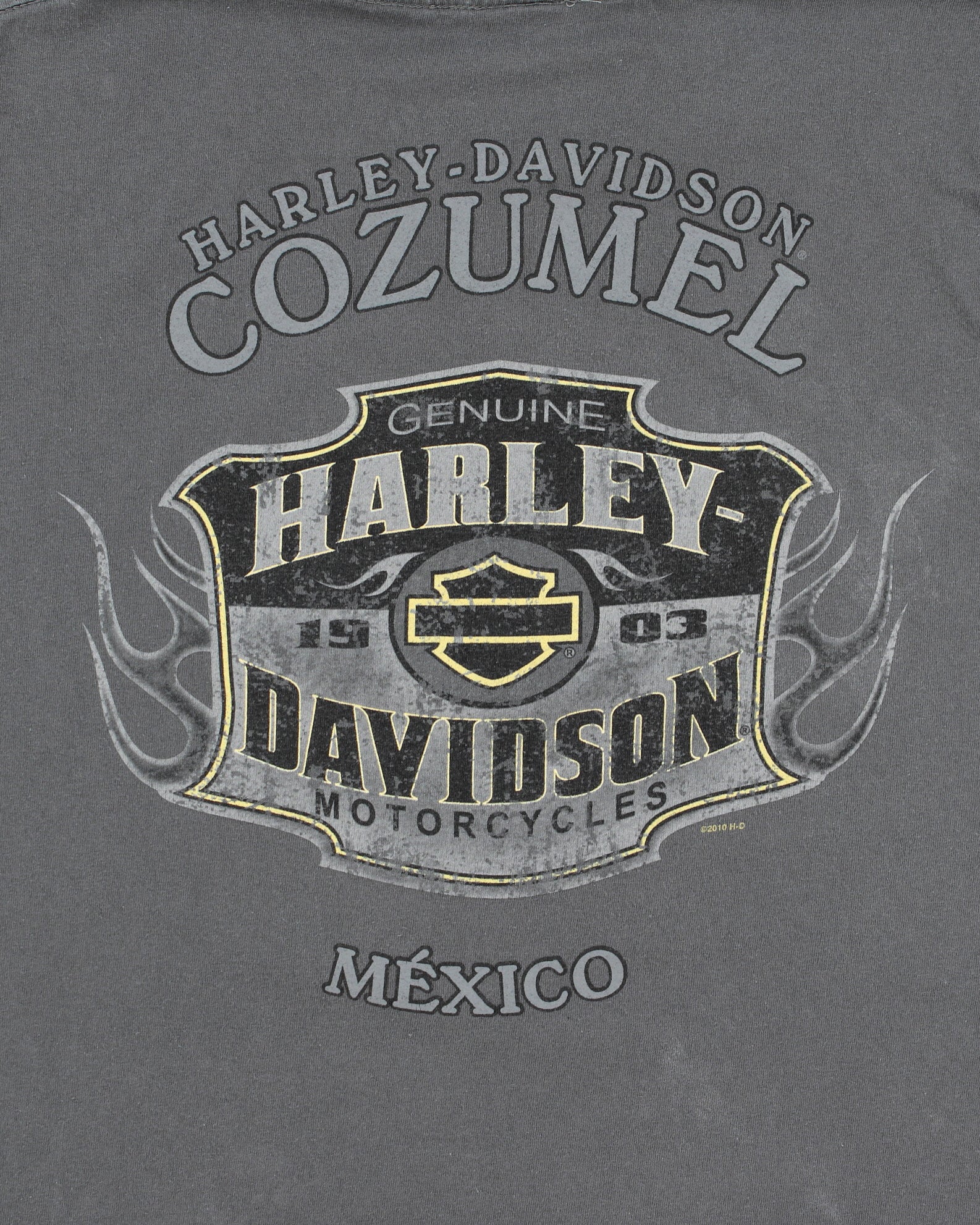 Vintage Harley Davidson Cozumel Mexico Heavyweight Ride Forever Crewneck T-Shirt - L