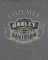 Vintage Harley Davidson Cozumel Mexico Heavyweight Ride Forever Crewneck T-Shirt - L