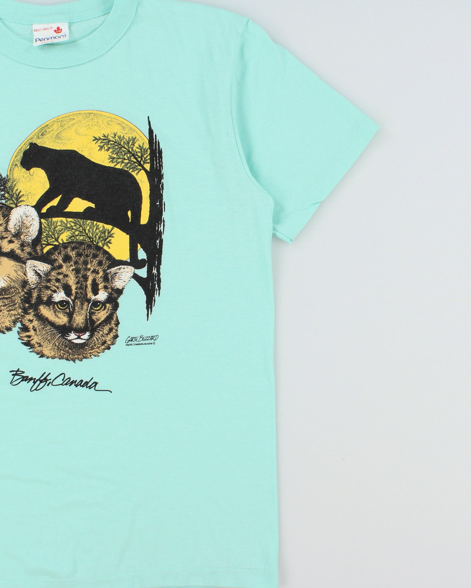 Vintage 1992 Banff Baby Blue Garth Buzzard Penmans Single Stitch Made In Canada Crewneck T-Shirt - L