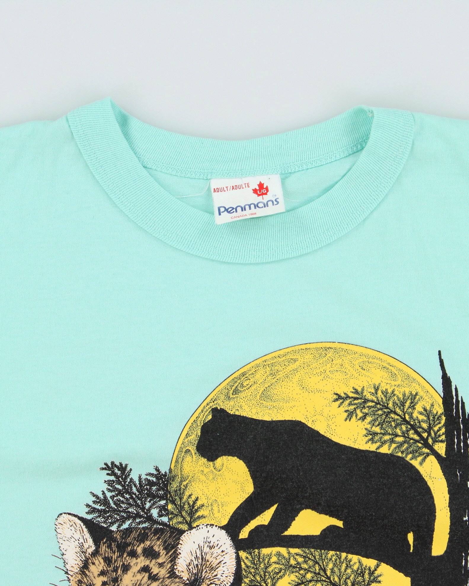 Vintage 1992 Banff Baby Blue Garth Buzzard Penmans Single Stitch Made In Canada Crewneck T-Shirt - L