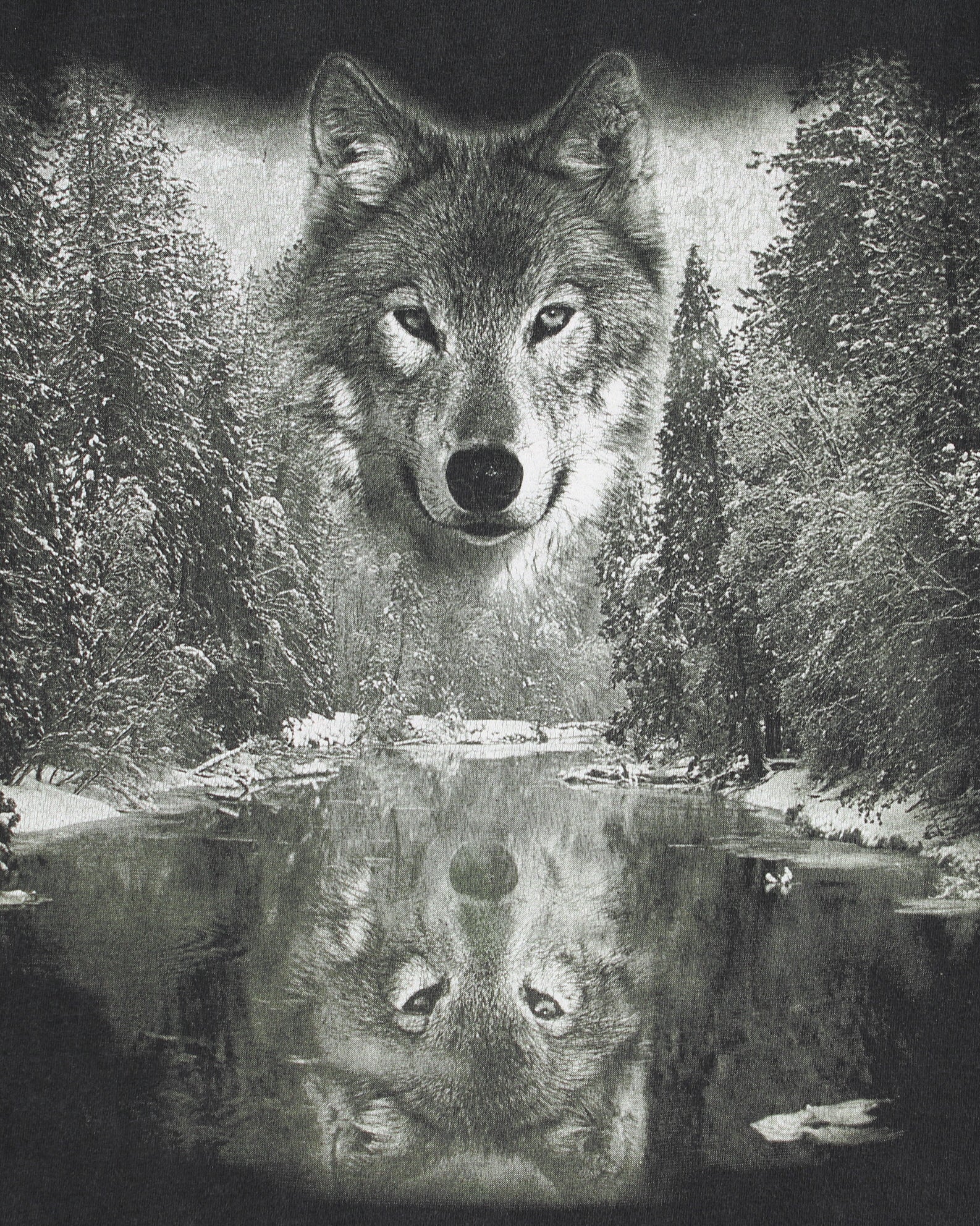 Vintage Y2K 00s Reflection Wolf Heavyweight Faded Black Crewneck T-Shirt - S