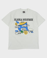 Vintage 1991 Sh**ty Alaska Weather Heavyweight Made In USA Single Stitch Screen Stars Crewneck T-Shirt - L