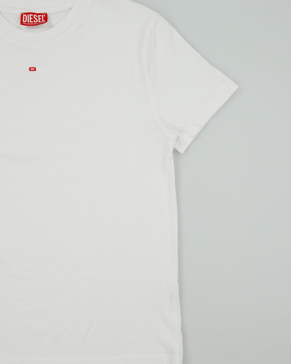 Diesel MICRODIV Embroidered Heavyweight Crewneck T-Shirt - L