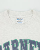 Vintage 1999 Carney Athletics Grey Marl Heavyweight Gildan Ultra Made In America Varsity Crewneck T-Shirt - M
