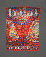 Vintage 2006 Tool 10,000 Days Studio Album Heavyweight Anvil Crewneck T-Shirt - S
