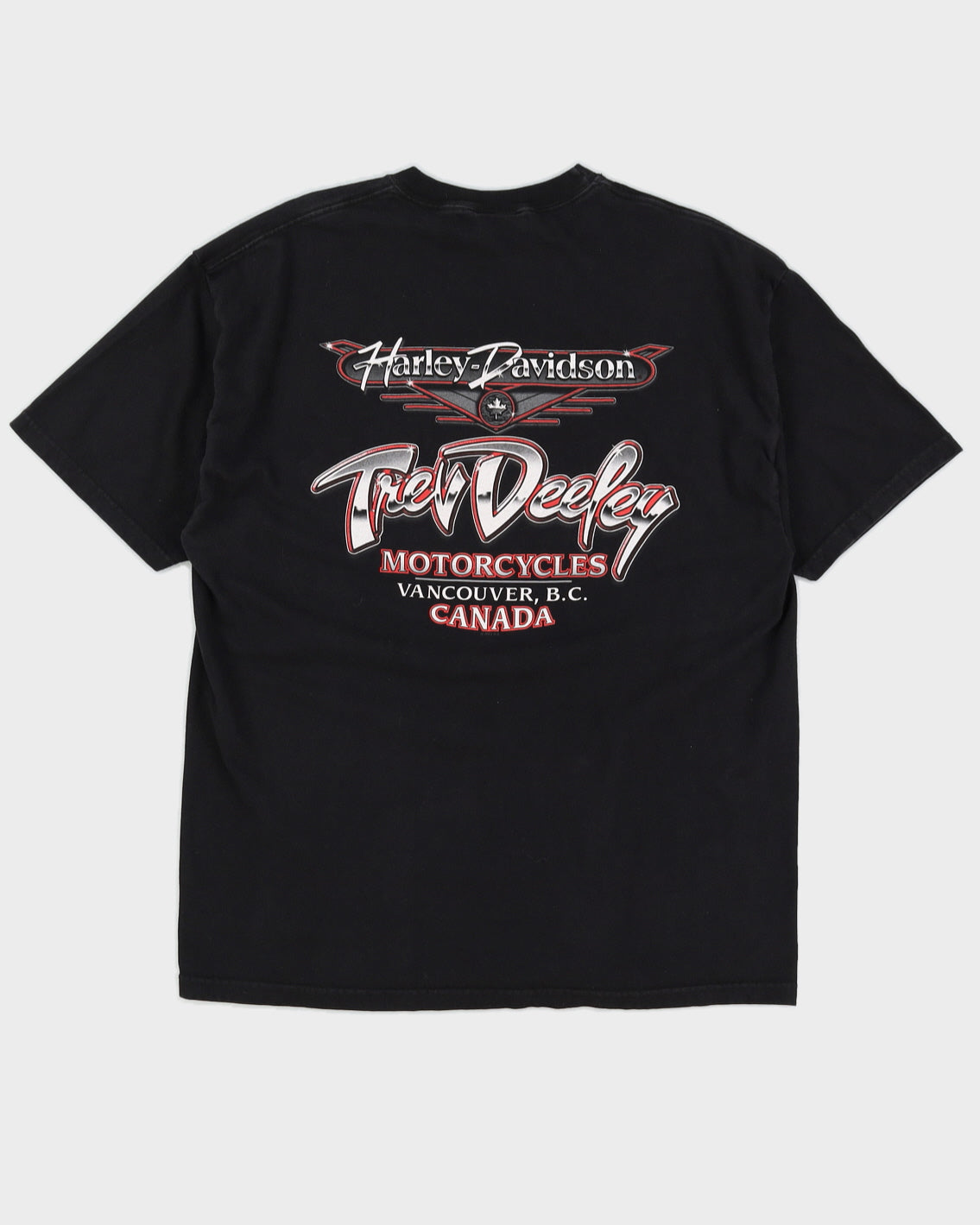 00s Harley Davidson Trev Deeley Print - XL
