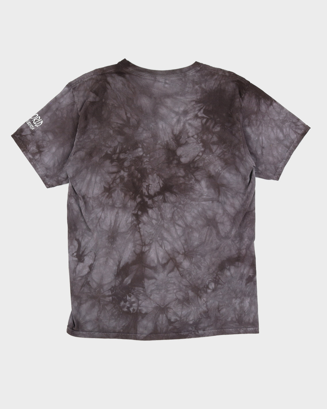 T-Rex The Mountain Fossil World T-Shirt - L