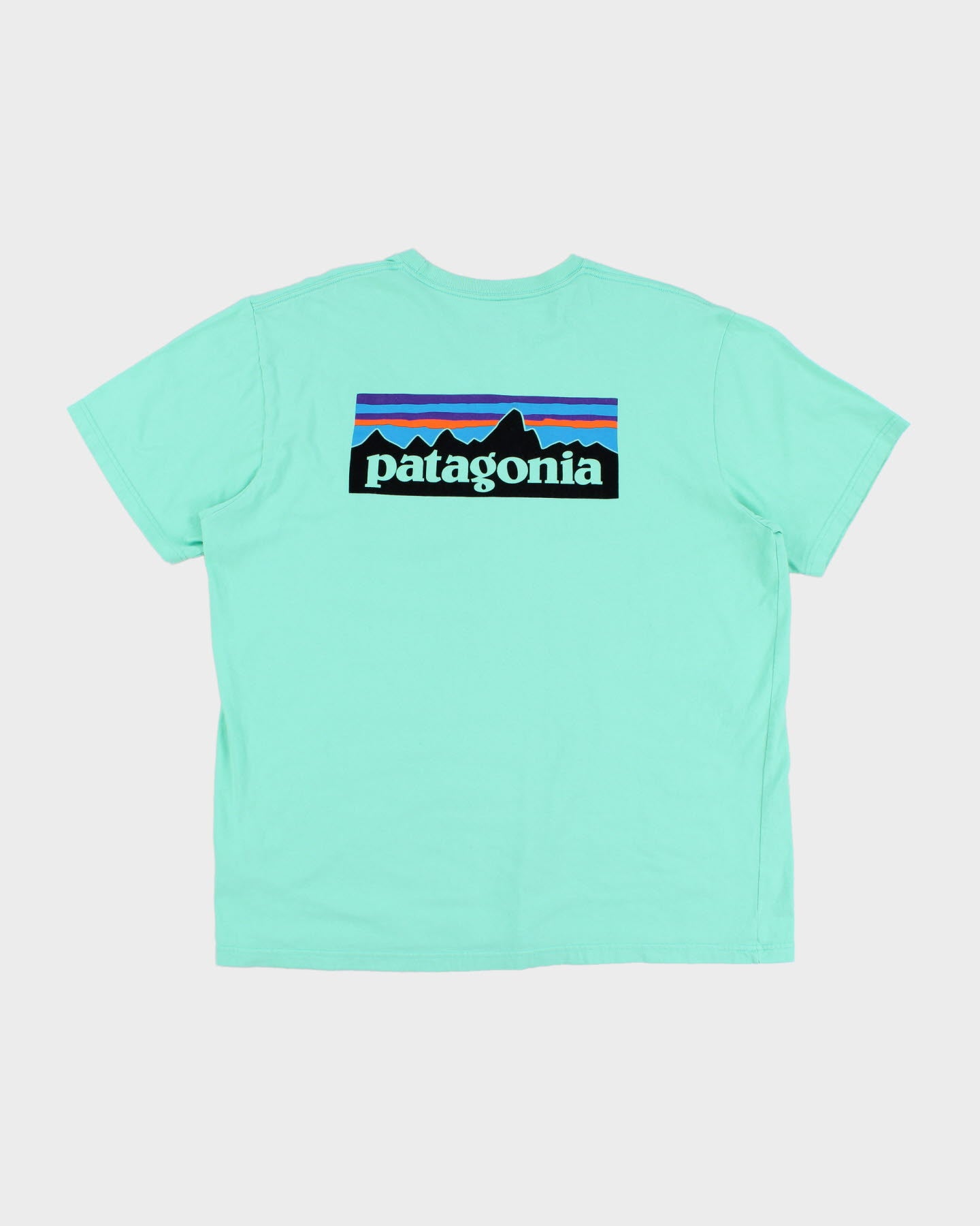Patagonia Mint Green Pocket T-Shirt - XL