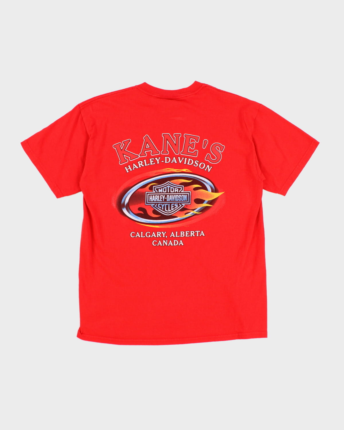 00s Harley Davidson T-Shirt - M