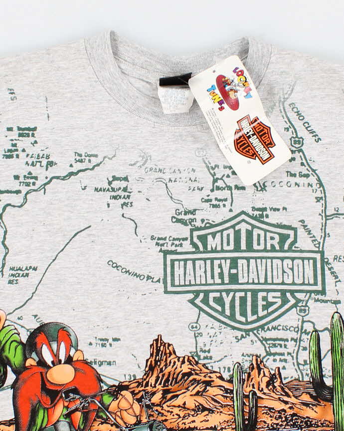 Mens Grey Harley Davidson X Looney Toons Graphic Print t shirt - M