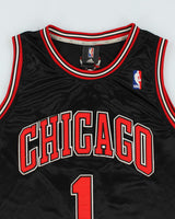 Vintage Chicago Bulls NBA Basketball Jersey - L