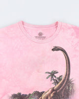 Vintage The Mountain Dinosaur Graphic T-Shirt - L