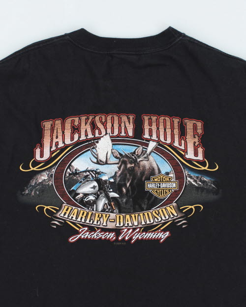 Harley Davidson T-shirt - L