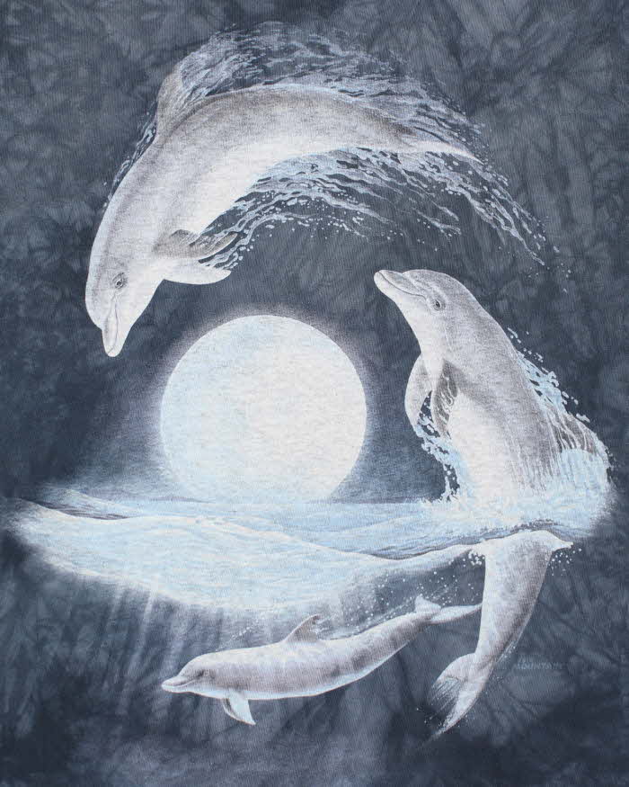 Vintage 00s The Mountain Dolphin Graphic T-Shirt - M