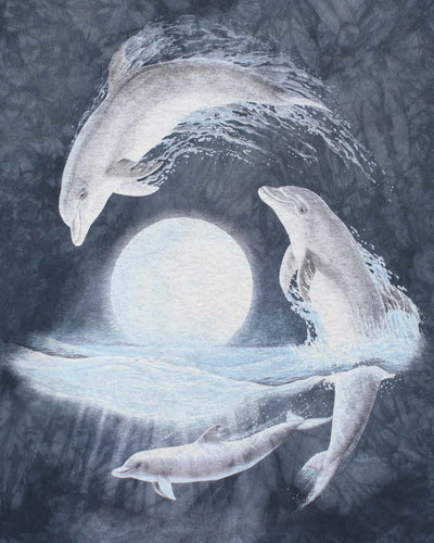 Vintage 00s The Mountain Dolphin Graphic T-Shirt - M